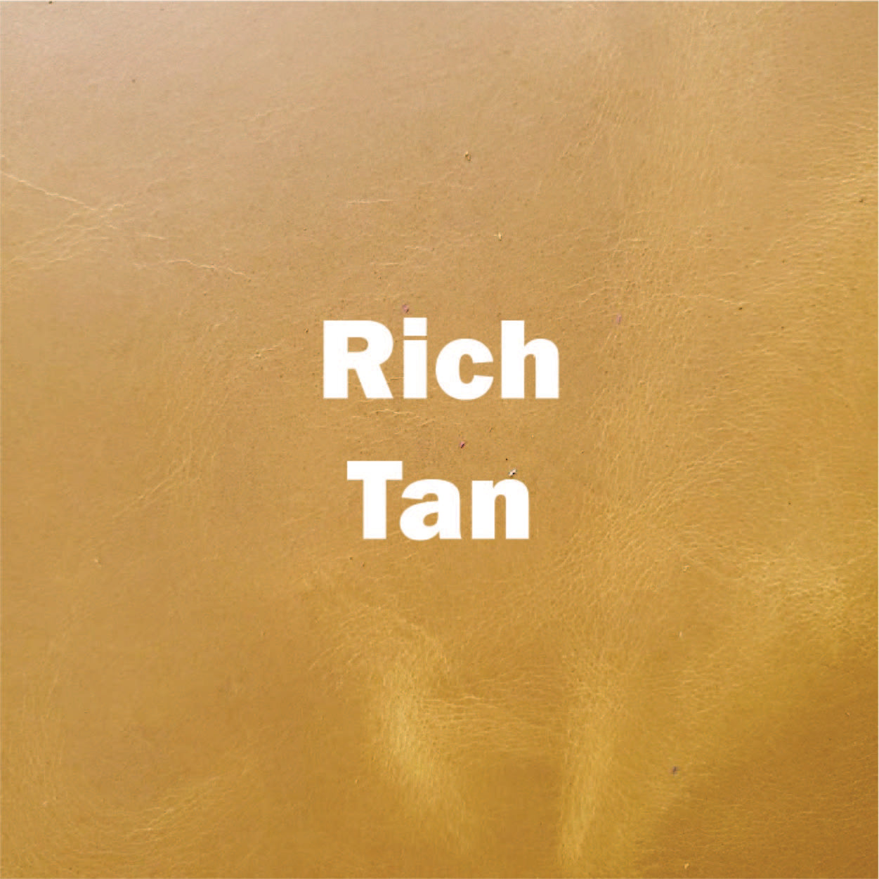 Learn-to-Sew Circle Coin Purse