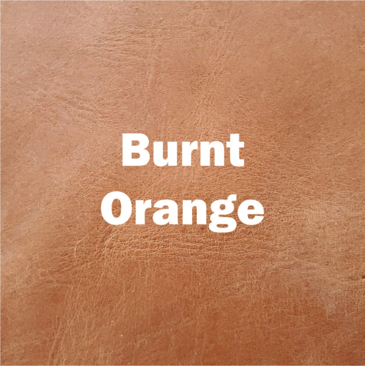 Learn-to-Sew Coin Wallet